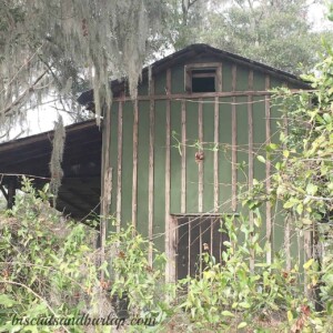 cane-grinding-barn-wm