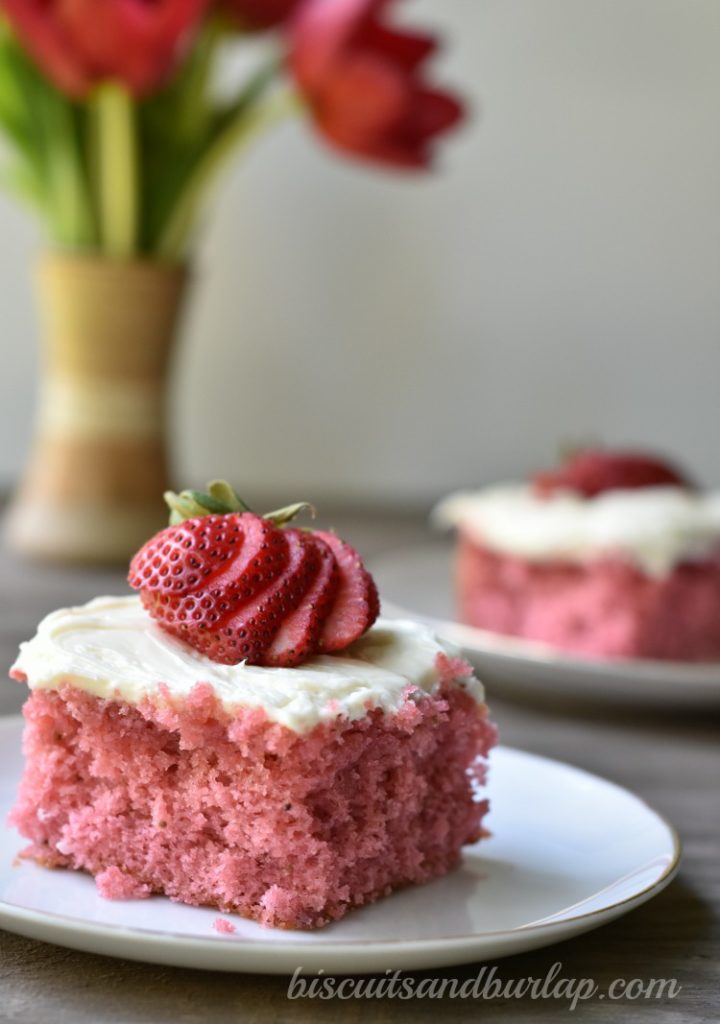 strawberry-cake-v-wm