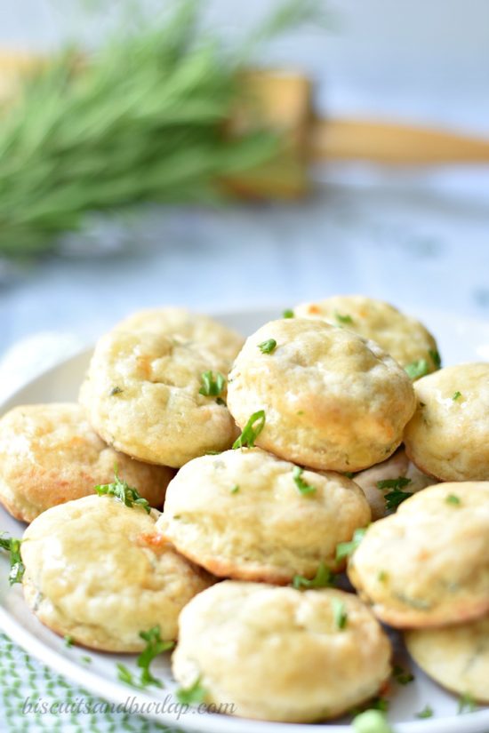 Cheese and herb mini biscuits are perfect for brunch or as an appetizer.