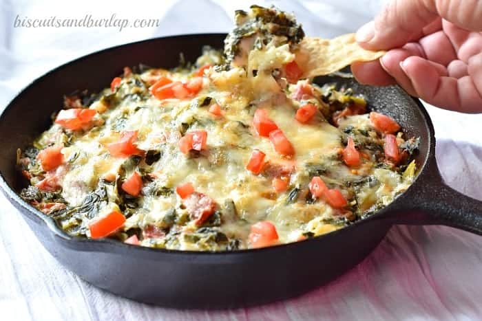 Collard Greens are the best for making the southern version of spinach dip. By BiscuitsandBurlap.com