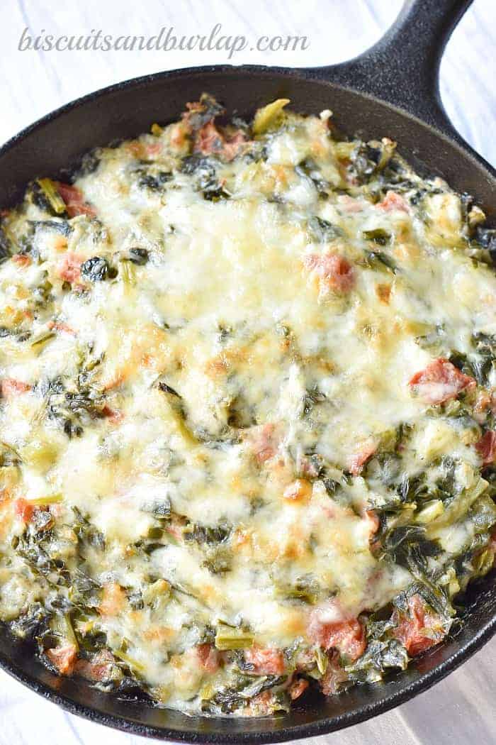 Collard Greens are the best for making the southern version of spinach dip. By BiscuitsandBurlap.com