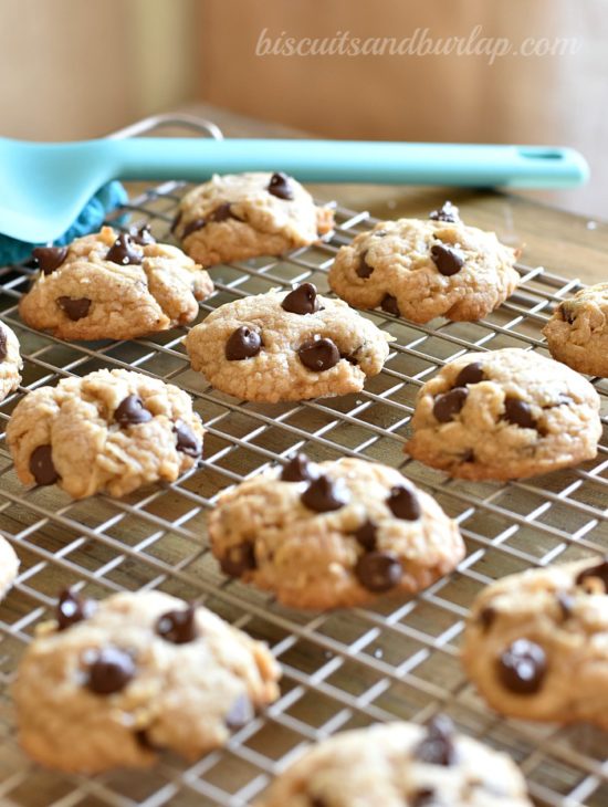 Cookies with coconut, chocolate chips, brown butter and sea salt