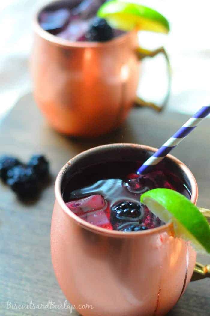 Southern-Blackberry-Mule-1