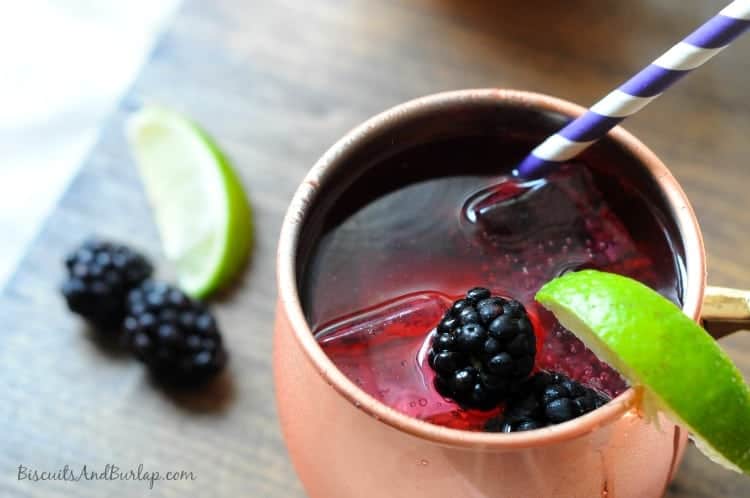 Southern-Blackberry-Mule-1