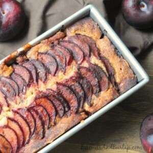 Spiced Plum Coffee Cake from Biscuits & Burlap