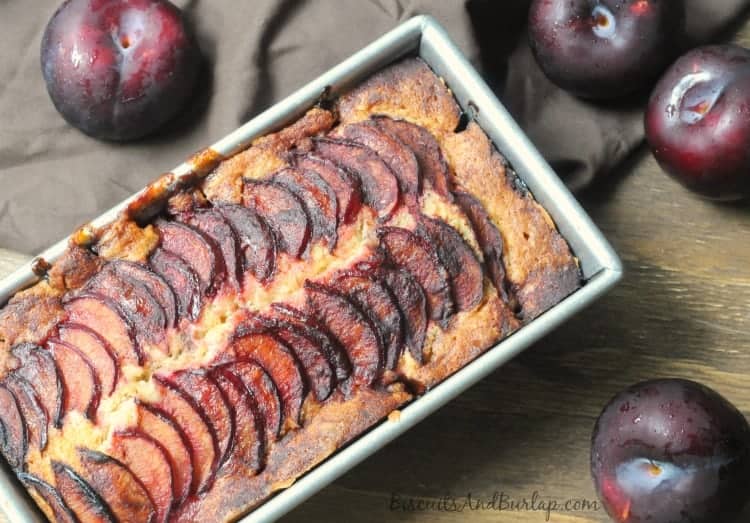 Spiced Plum Coffee Cake from Biscuits & Burlap