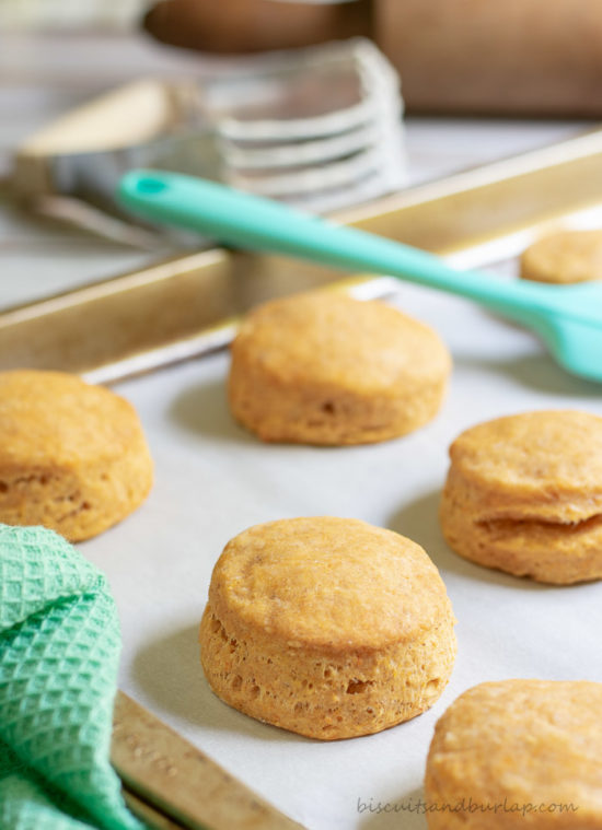 Sweet Potato Biscuits are simple to make and such a special addition to your table.