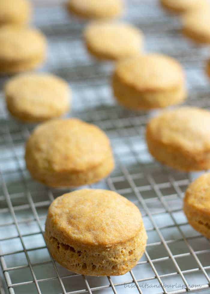 Sweet Potato Biscuits are simple to make and such a special addition to your table.