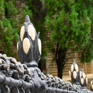 fence in new orleans.