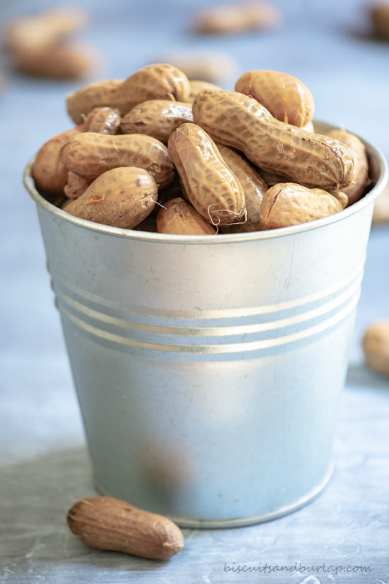 cajun-garlic-beer-boiled-peanuts