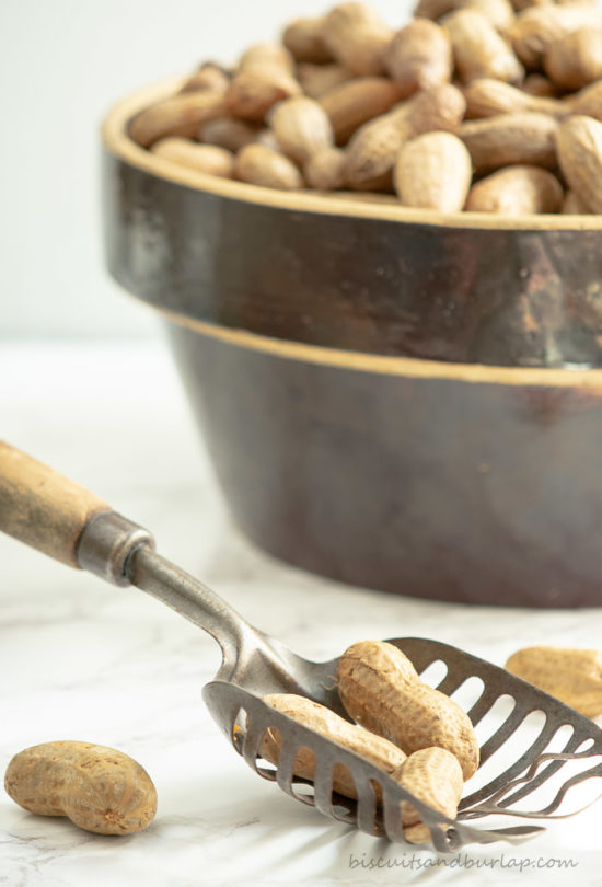 cajun-garlic-beer-boiled-peanuts