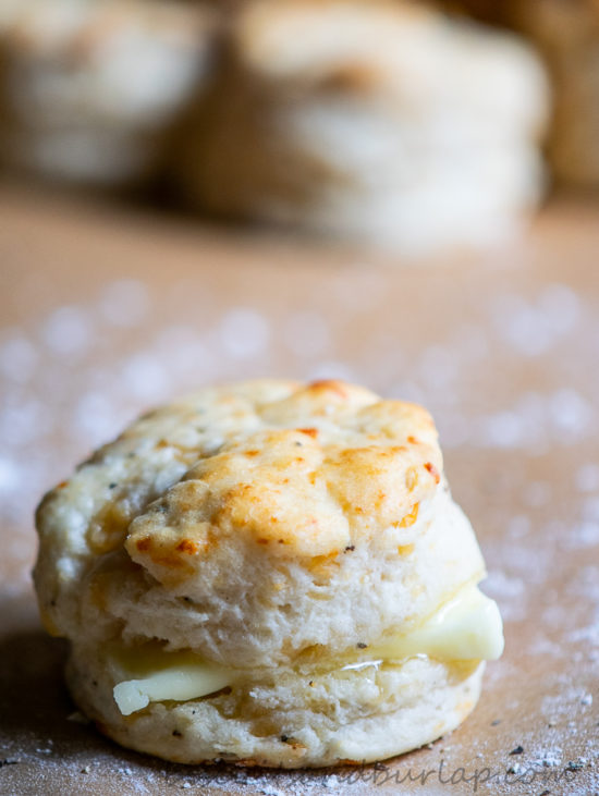 Asiago and Black Pepper Biscuits go perfectly with soups, stews & so much more.