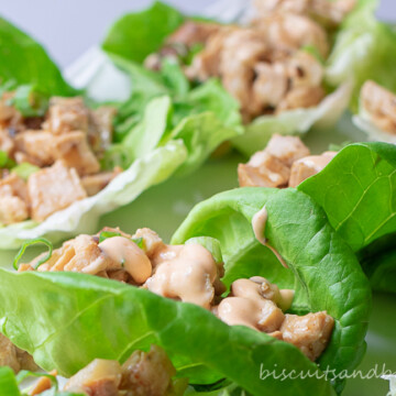 Lettuce Wraps with Grilled Chicken have a spicy sauce