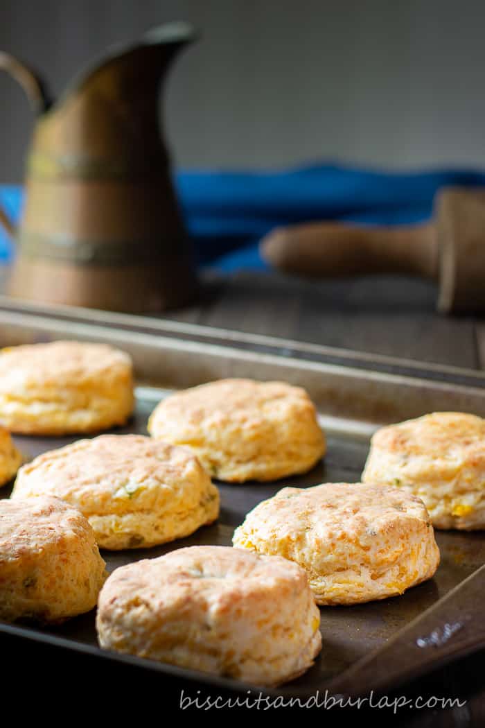 mexican style biscuits on baking sheet with pitcher and rolling pin behind