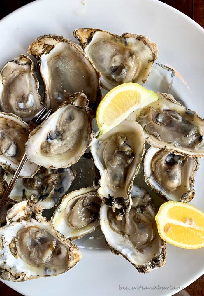 oysters on plate with lemon