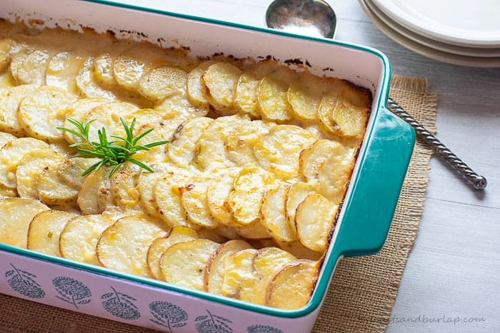 horizontal shot of potato gratin