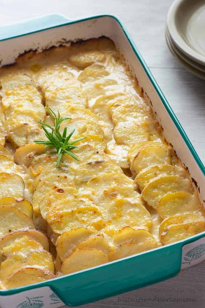 potato gratin with rosemary on top