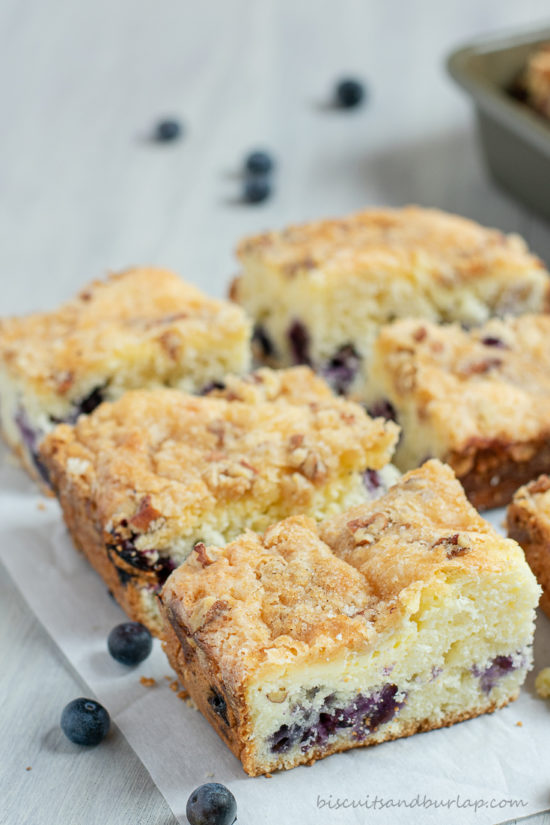 blueberry crumb cake cut into squares