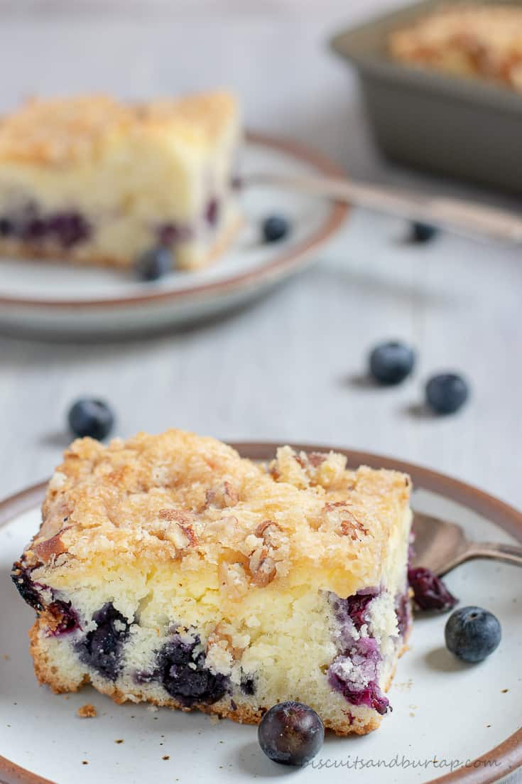 piece of blueberry crumb cake on plate