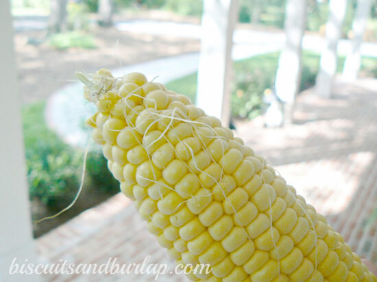 close up of corn