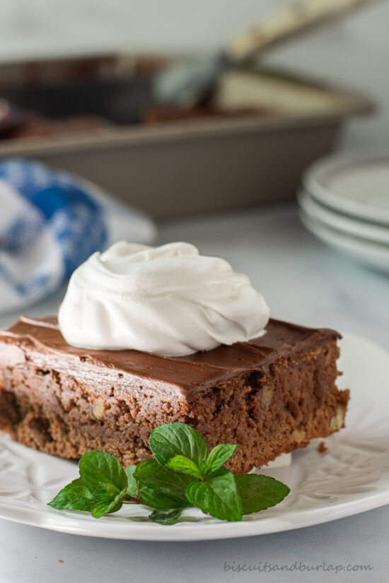 brownie slice on plate with whipped cream