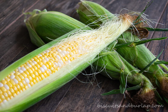 horizontal shot of corn