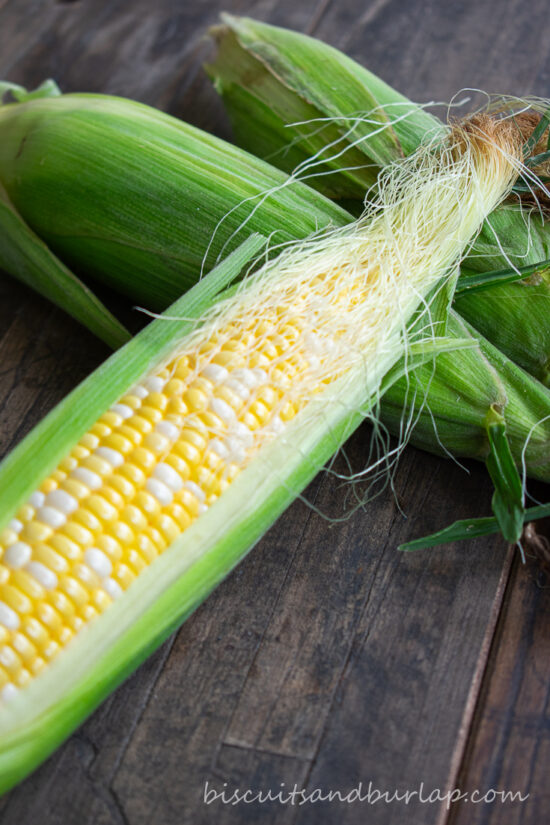 partially shucked corn
