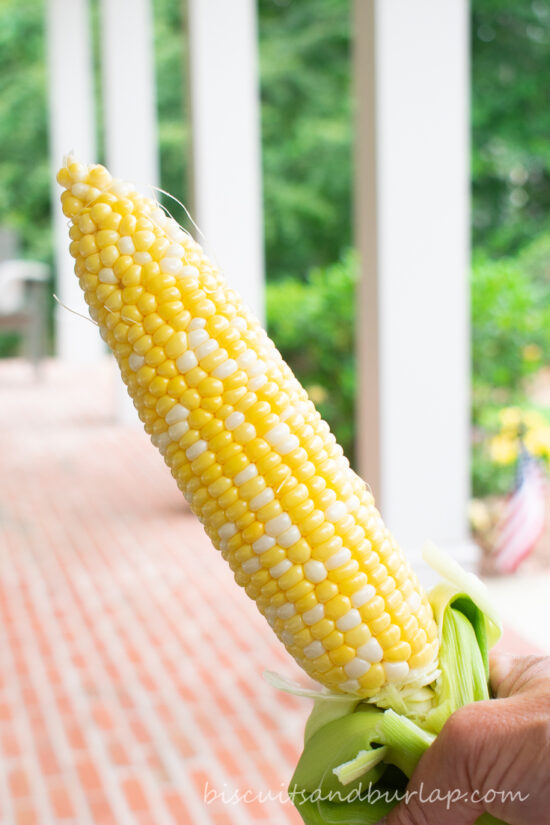 hand holding ear of corn