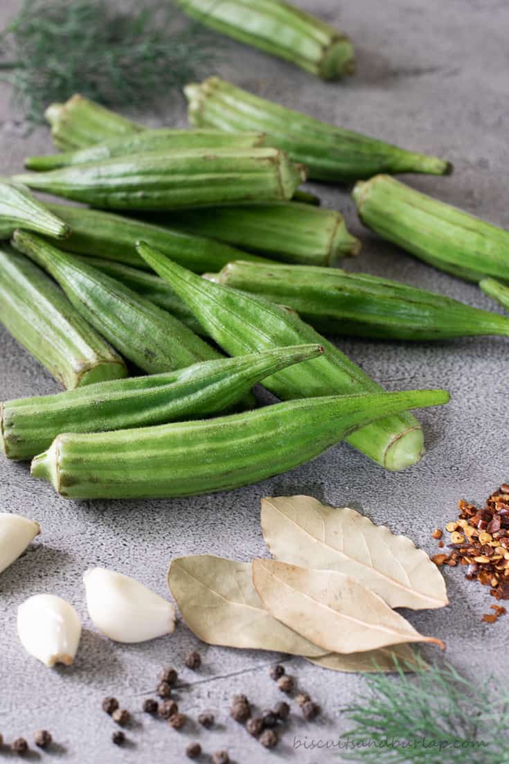 ingredients for pickled okra