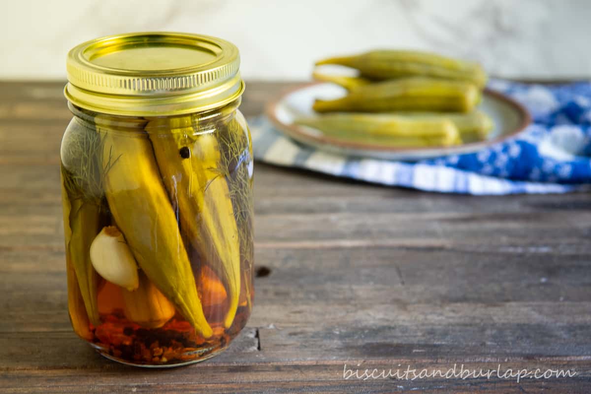 Pickled Okra Recipe: Spicy & Quick | Biscuits & Burlap