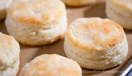 easy buttermilk biscuits
