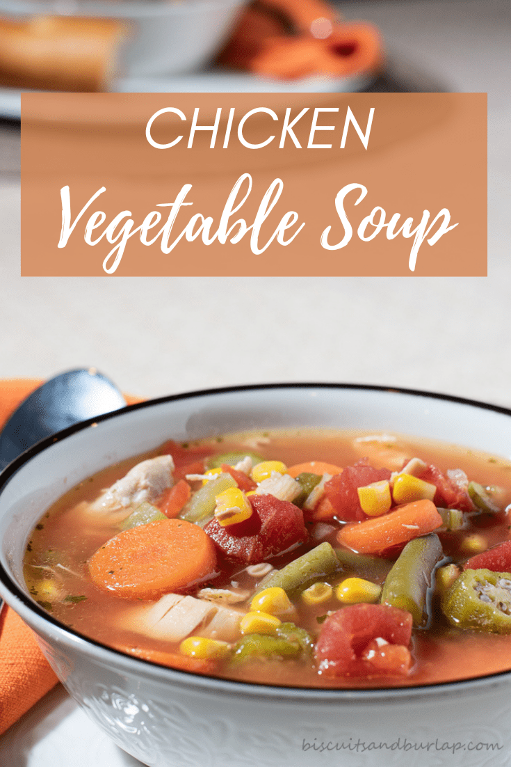 Chicken Vegetable Soup Southern Style