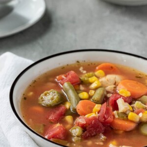 bowl of chicken vegetable soup with ladle