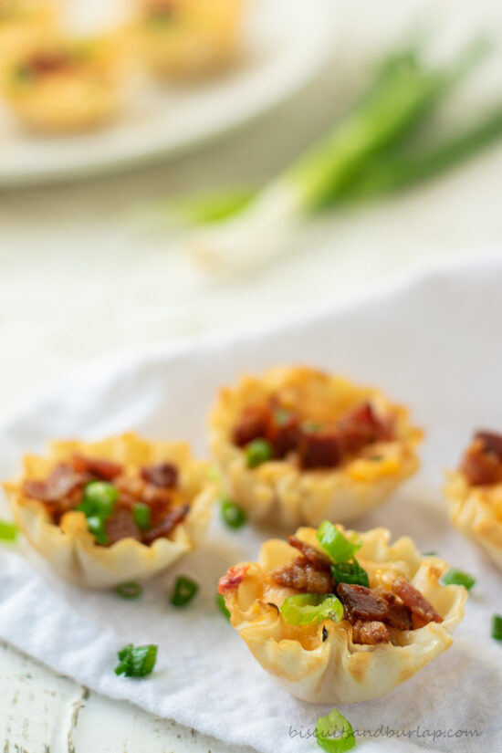 appetizers with green onion behind