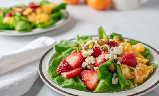 horizontal shot of salad