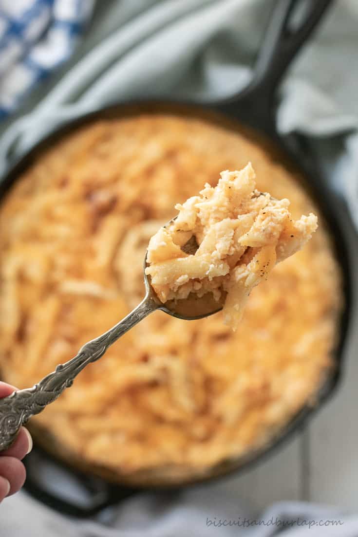 spoonful of smoked mac and cheese over skillet