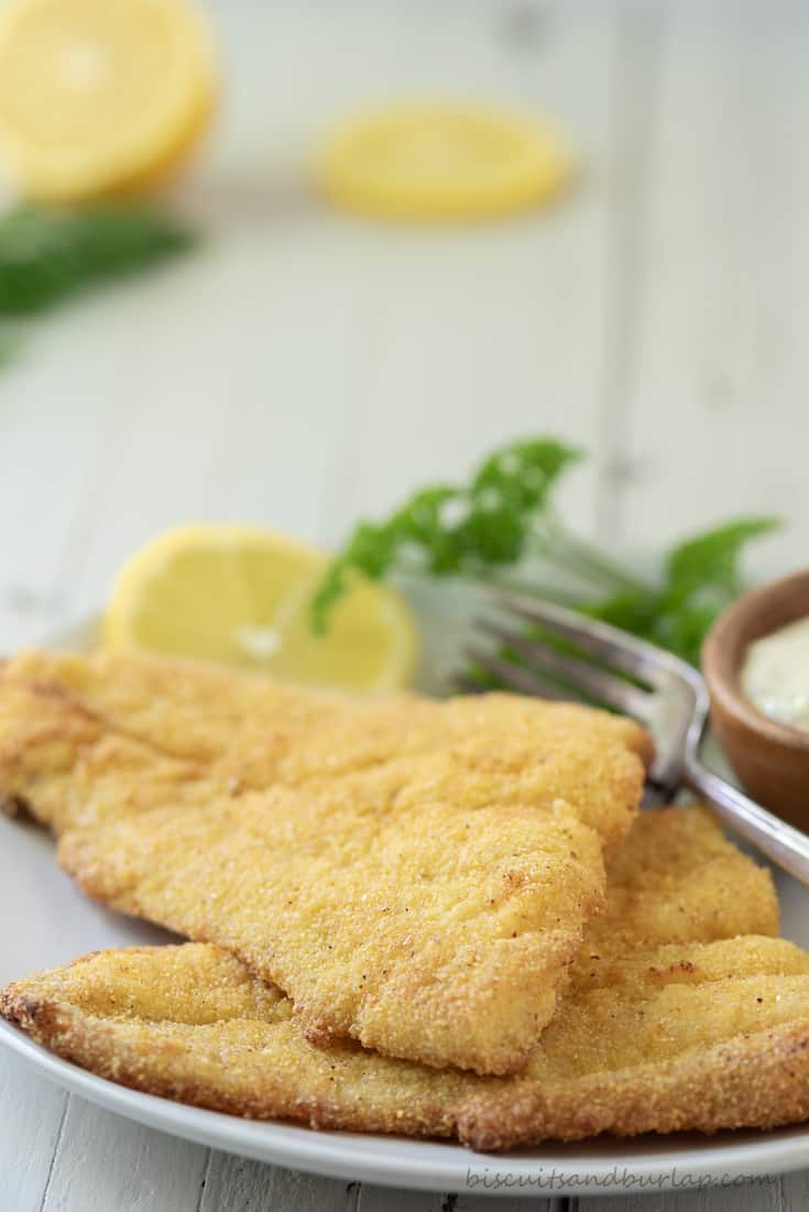 2 filets of catfish cooked in air fryer