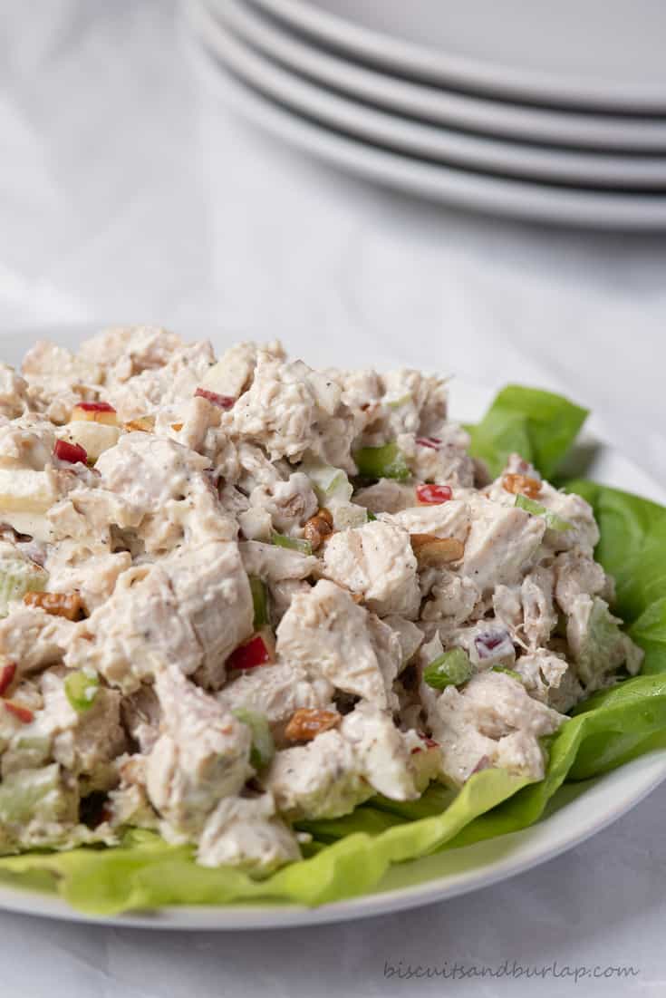 vertical shot of apple pecan chicken salad with plates behind