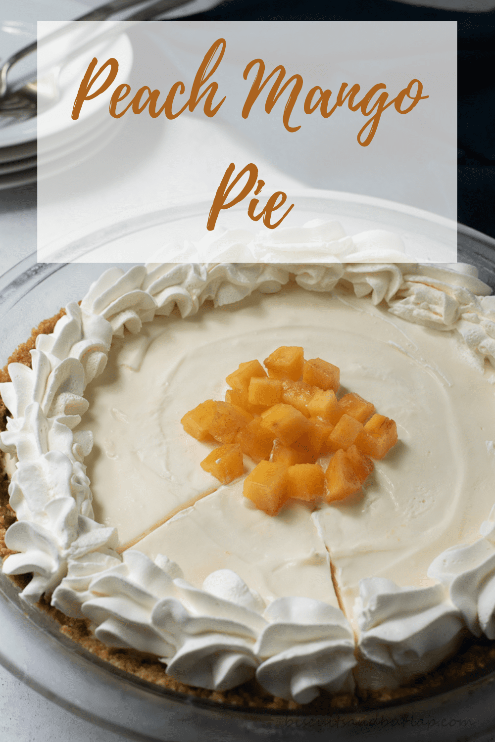 Peach Mango Pie No Bake Recipe!
