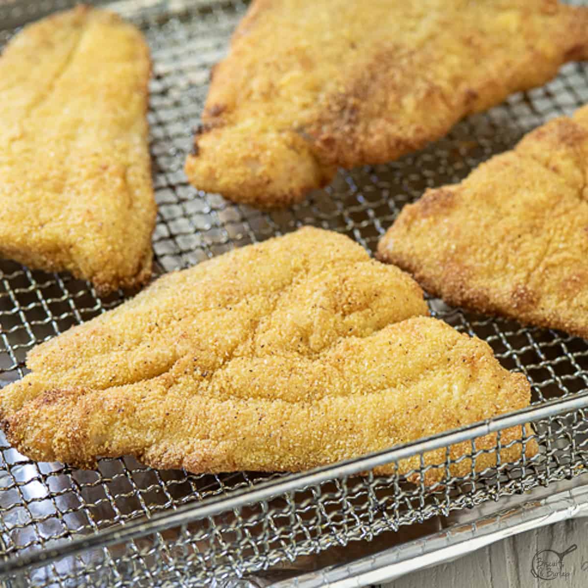 air fryer catfish on basket.