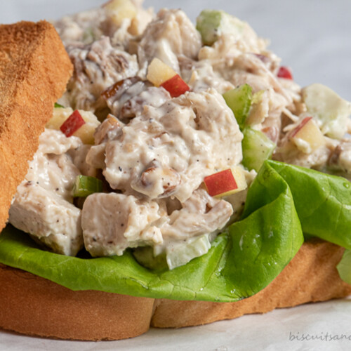 chicken salad with apples and pecans on toast.