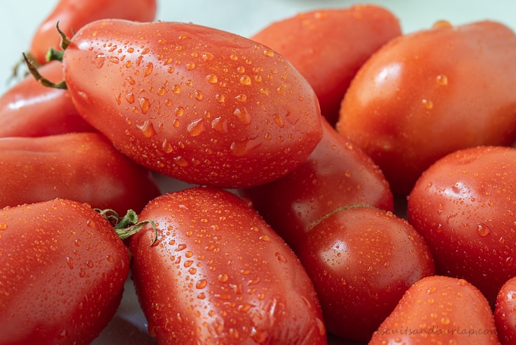 tomatoes for san marzano sauce
