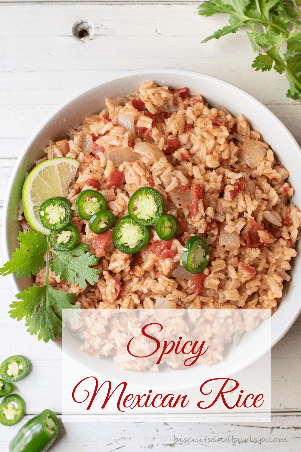 Easy and Spicy Mexican Rice - Biscuits & Burlap