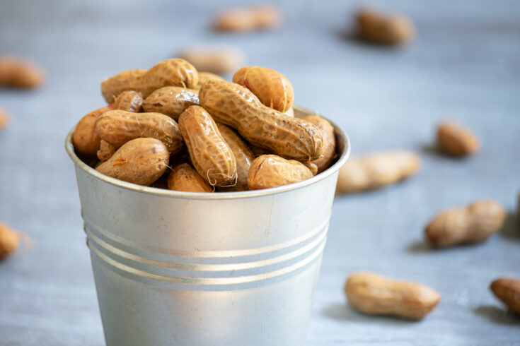 bucket of cajun boiled peanuts