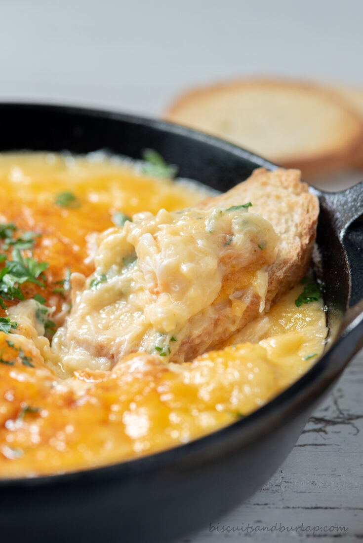 crostini being dipped in crabmeat au gratin