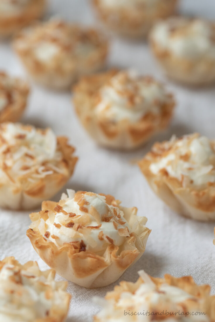 rows of bite sized coconut tarts