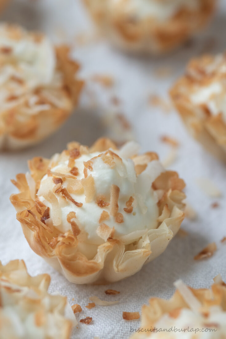 close up of coconut tarts