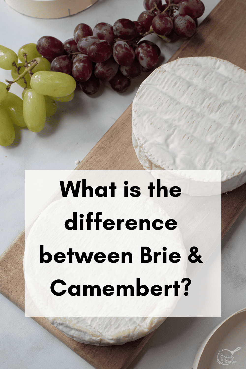 What's the difference between brie and camembert?