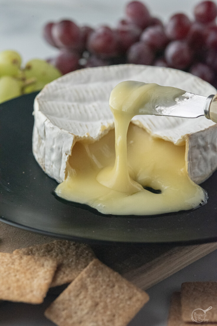brie vs. camembert taste testing with melted cheese
