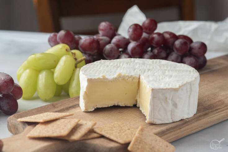 brie vs. camembert testing with grapes